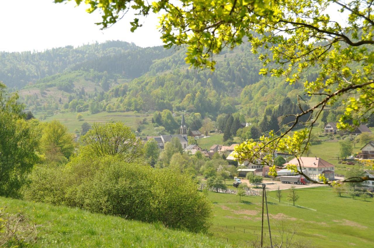 Appartement A Mitzach Екстериор снимка
